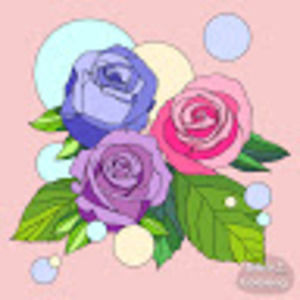 Meet your Posher, Tracey